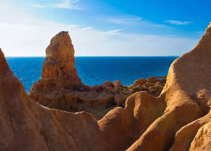 דירה Casa Vida De *